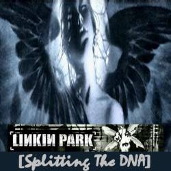 Linkin Park : Splitting the DNA